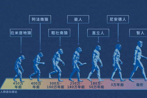 世界上第一个人类：地猿始祖阿尔迪(440万年前的人类)(世界上第一个人类是哪国人)