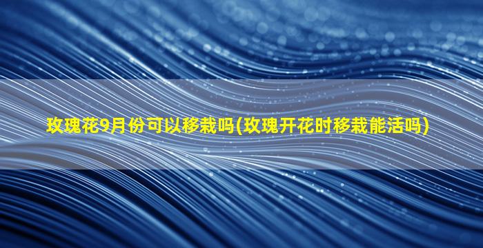 玫瑰花9月份可以移栽吗(玫瑰开花时移栽能活吗)