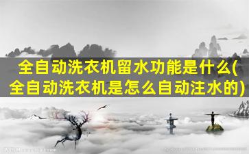 全自动洗衣机留水功能是什么(全自动洗衣机是怎么自动注水的)