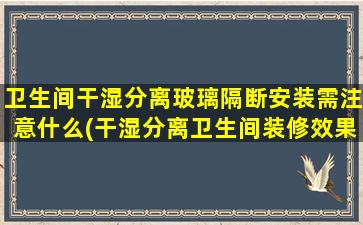 卫生间干湿分离玻璃隔断安装需注意什么(干湿分离卫生间装修效果图)