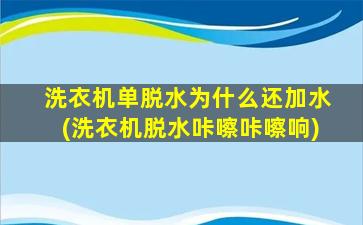 洗衣机单脱水为什么还加水(洗衣机脱水咔嚓咔嚓响)