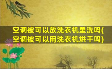 空调被可以放洗衣机里洗吗(空调被可以用洗衣机烘干吗)