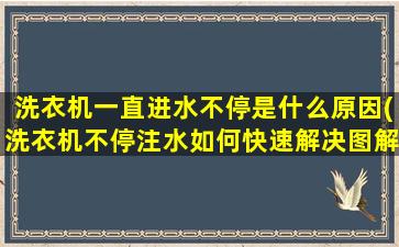 洗衣机一直进水不停是什么原因(洗衣机不停注水如何快速解决图解)