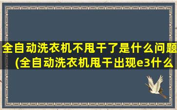 全自动洗衣机不甩干了是什么问题(全自动洗衣机甩干出现e3什么问题)