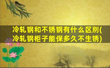 冷轧钢和不锈钢有什么区别(冷轧钢柜子能保多久不生锈)