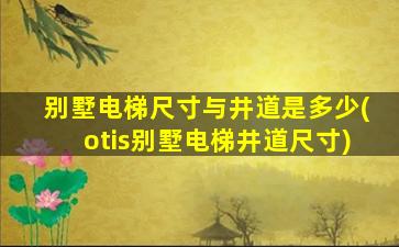 别墅电梯尺寸与井道是多少(otis别墅电梯井道尺寸)