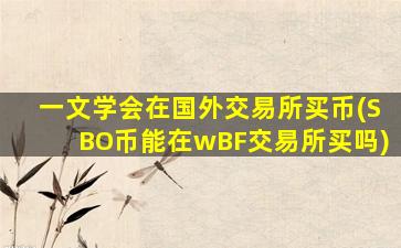 一文学会在国外交易所买币(SBO币能在wBF交易所买吗)