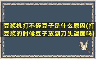 豆浆机打不碎豆子是什么原因(打豆浆的时候豆子放到刀头罩面吗)