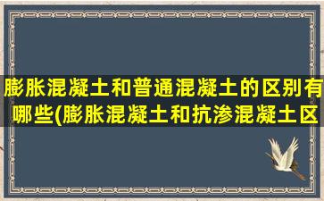 膨胀混凝土和普通混凝土的区别有哪些(膨胀混凝土和抗渗混凝土区别)