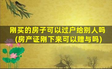 刚买的房子可以过户给别人吗(房产证刚下来可以赠与吗)